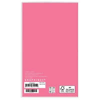 Joyful Landscapes 2026 2 Yr Pocket Planner Calendar