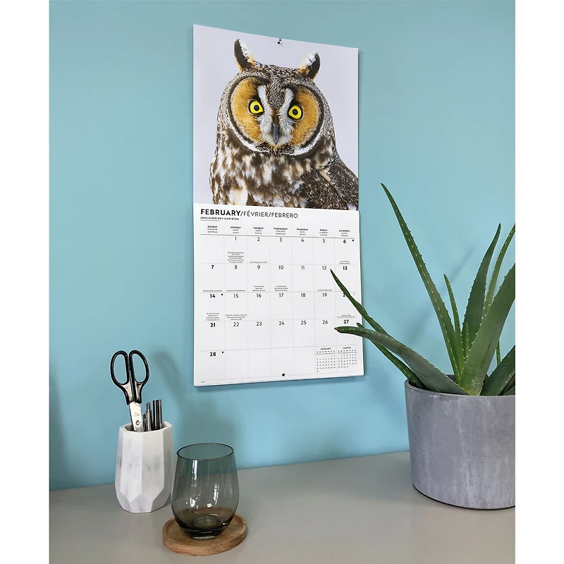 Owls 2027 Wall Calendar