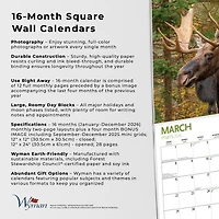 Canadian Geographic Moose 2026 Wall Calendar