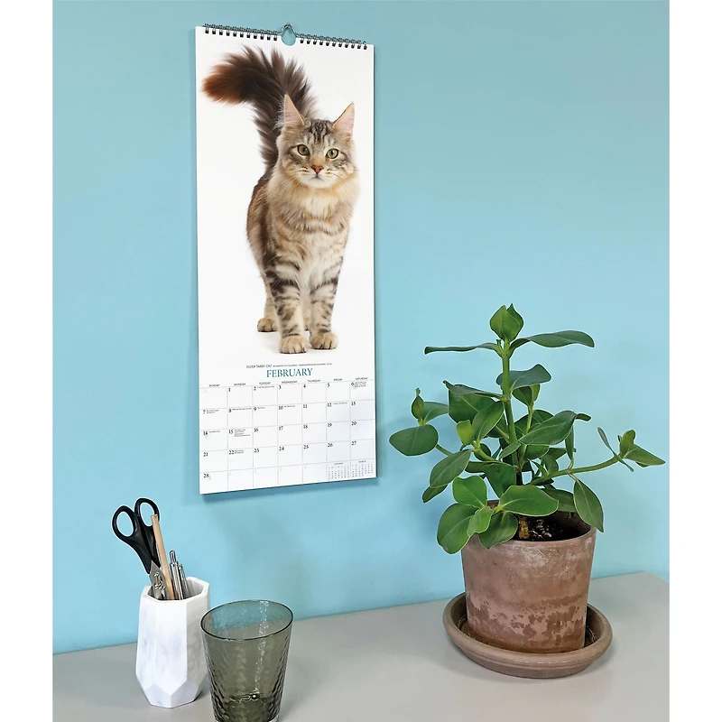 Cats 2027 Poster Calendar