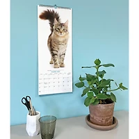 Cats 2027 Poster Calendar