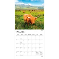 Scotland 2027 Wall Calendar
