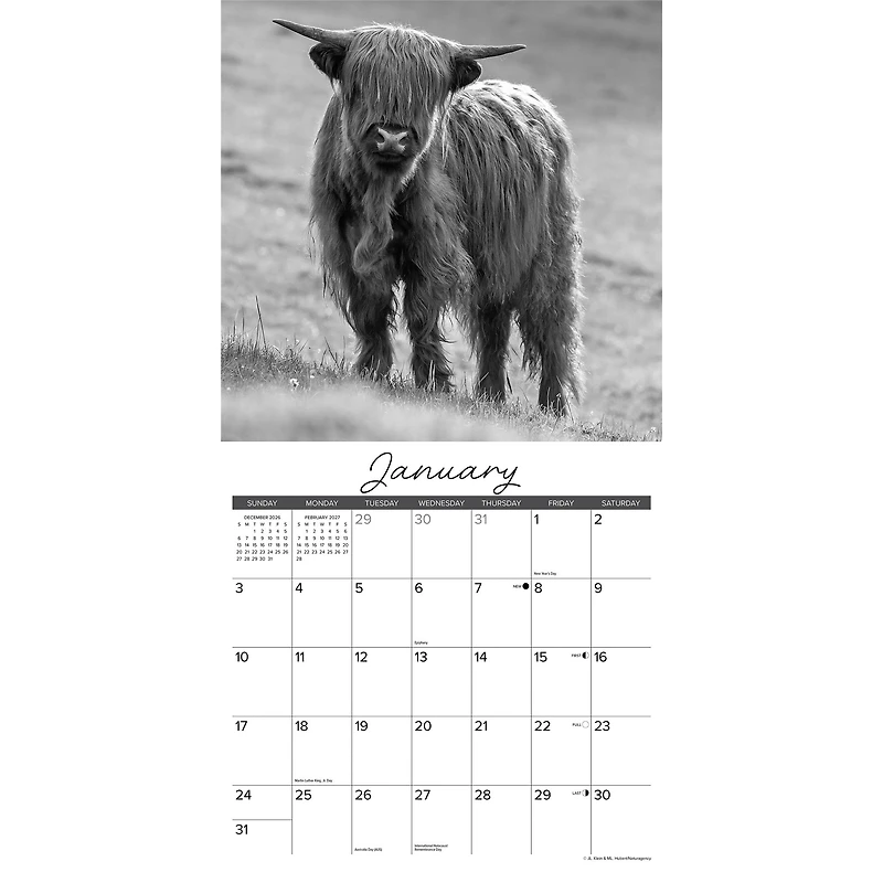 Highland Cows (Black &White) 2027 Wall Calendar