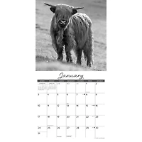 Highland Cows (Black &White) 2027 Wall Calendar