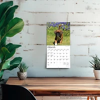 Boxer Puppies 2026 Mini Calendar