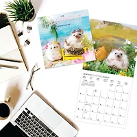 Happiest Hedgehogs 2026 Wall Calendar - Online Only