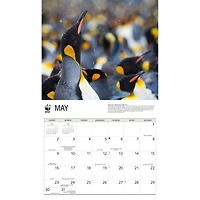 World Wildlife Fund Penguins 2027 Wall Calendar