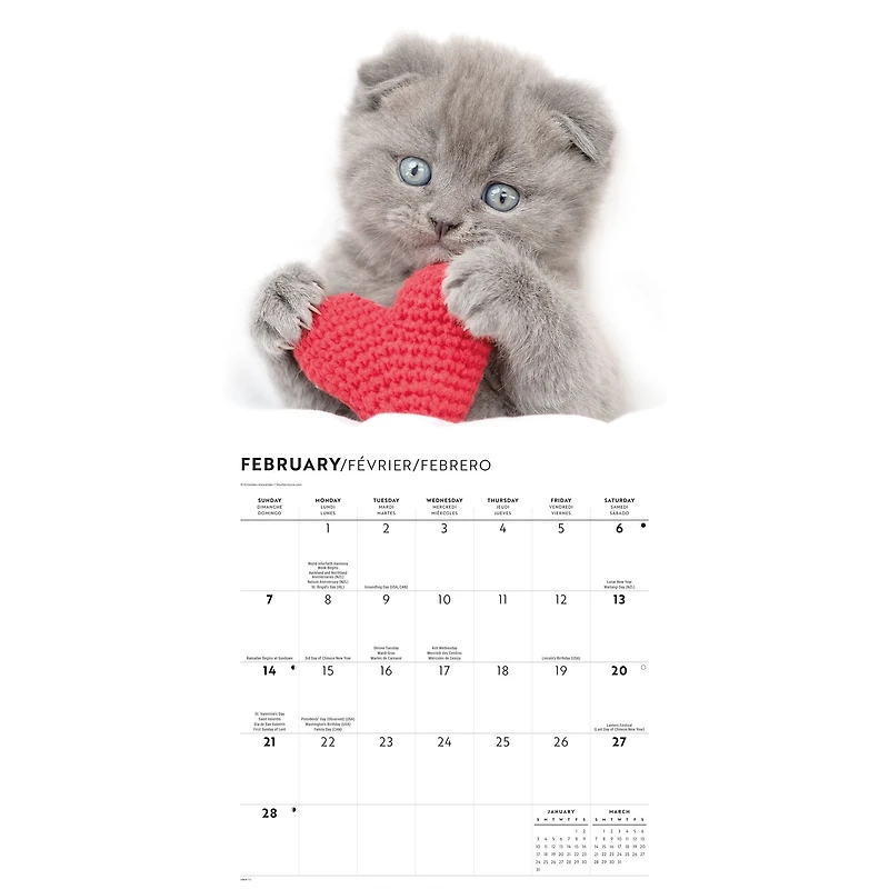 Cats 2027 Wall Calendar