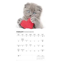 Cats 2027 Wall Calendar