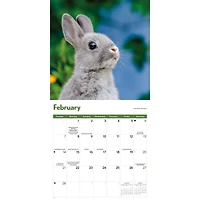 Rabbits 2027 Wall Calendar
