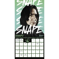 Harry Potter Collectors Edition 2026 Wall Calendar