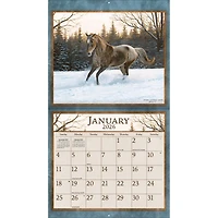 Horses In The Mist 2025-2026 Deluxe Special Edition Wall Calendar with Bonus Months