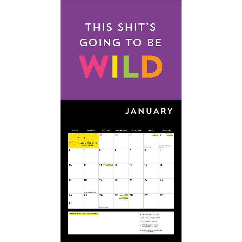 A Fucking Calendar 2027 Wall Calendar
