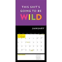 A Fucking Calendar 2027 Wall Calendar