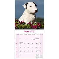 Bull Terriers 2027 Wall Calendar
