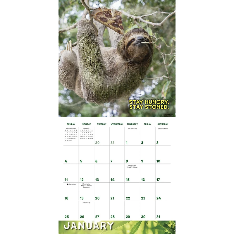 Stoner Sloths 2026 Wall Calendar