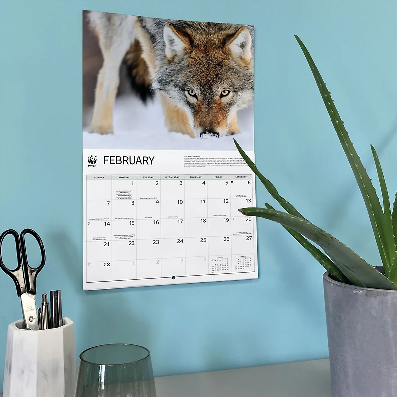 World Wildlife Fund Wolves 2027 Wall Calendar