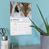 World Wildlife Fund Wolves 2027 Wall Calendar