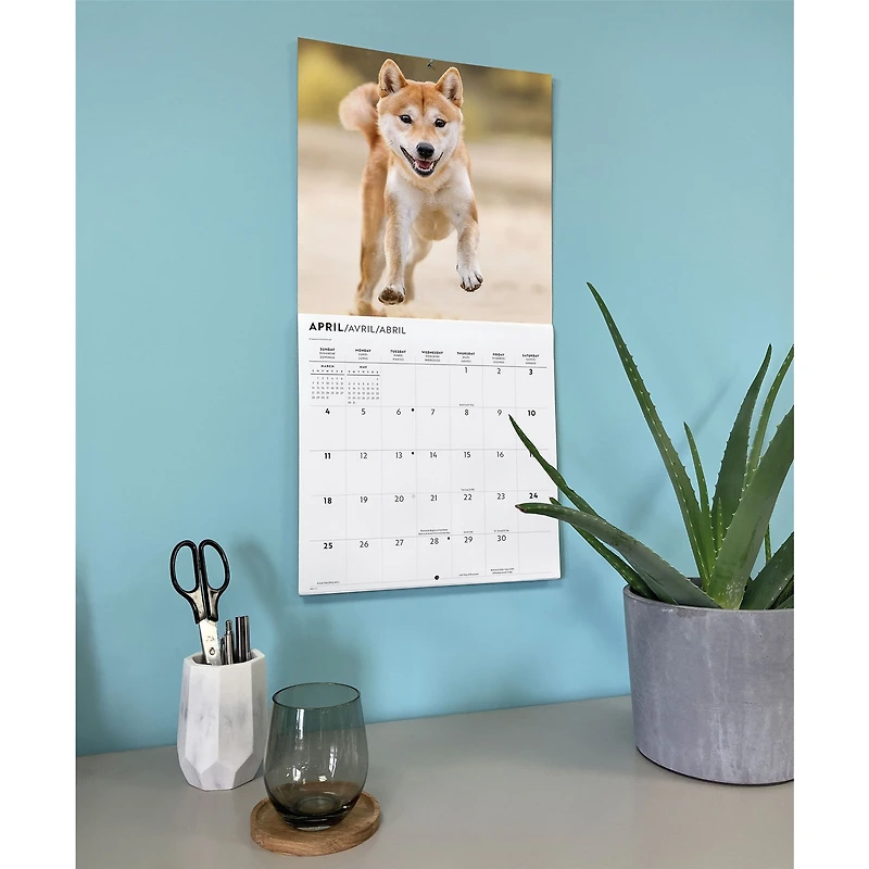 Shiba Inu 2027 Wall Calendar