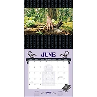 Wednesday Wall  2026 Calendar