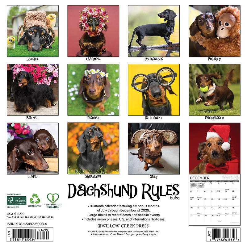 Dachshund Rules 2026 Wall Calendar