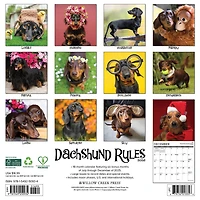 Dachshund Rules 2026 Wall Calendar
