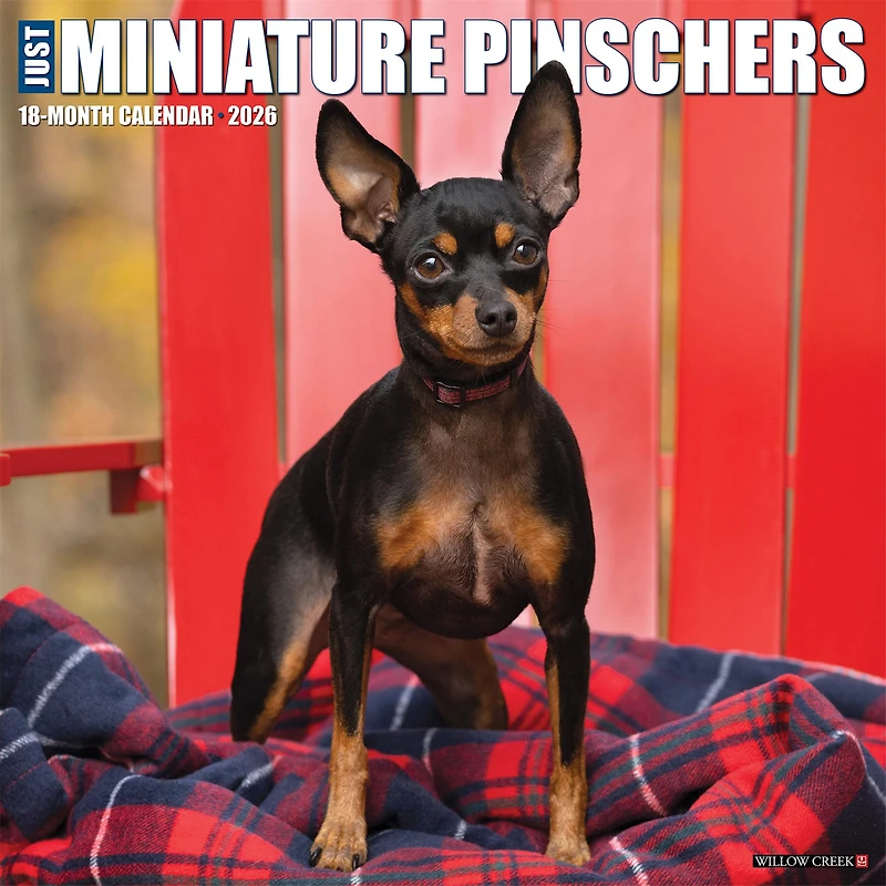 Just Miniature Pinschers 2026 Wall Calendar - Online Only