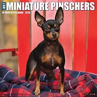 Just Miniature Pinschers 2026 Wall Calendar - Online Only