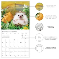 Happiest Hedgehogs 2027 Mini Calendar