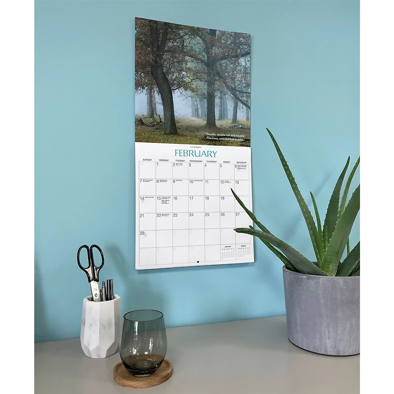 Witches’ Woods 2027 Wall Calendar