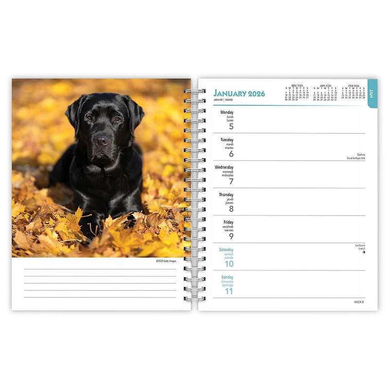 Black Labs 2026 Engagement Calendar - Online Only