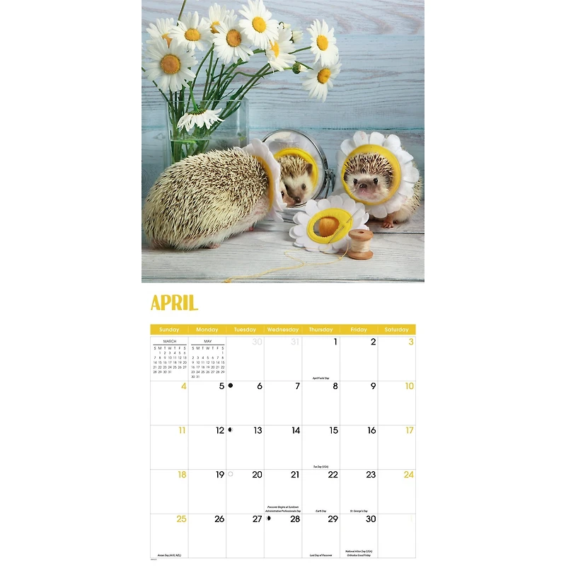 Hedgehogs! 2027 Wall Calendar