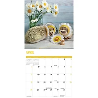 Hedgehogs! 2027 Wall Calendar