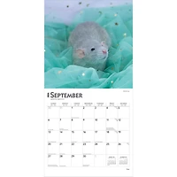 Rats 2026 Wall Calendar