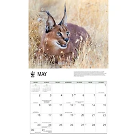 World Wildlife Fund Wild Cats 2027 Wall Calendar