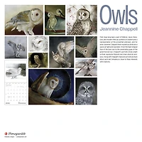 Owls Jeannine Chappell 2026 Wall Calendar