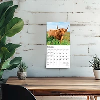 Highland Cows 2026 Mini Calendar