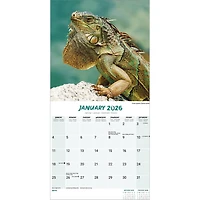 Lizards 2026 Wall Calendar