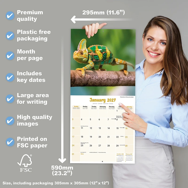 Lizards 2027 Wall Calendar