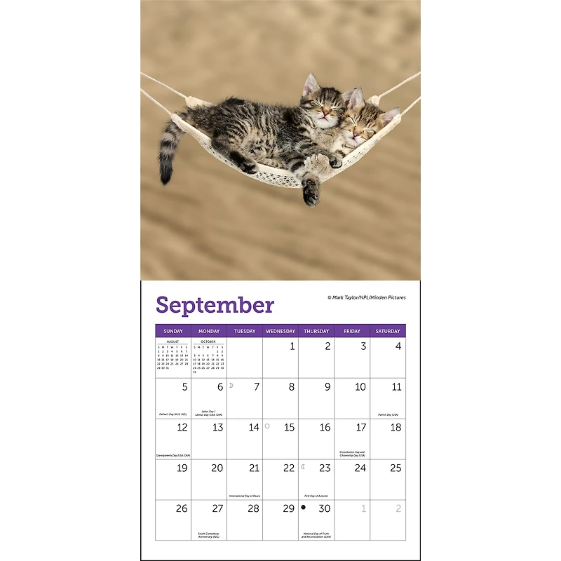 Cats 2027 Mini Calendar
