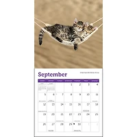 Cats 2027 Mini Calendar