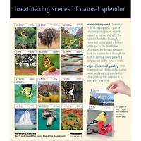 Audubon Nature Gallery 2026 Box Calendar