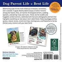 Dogs 365 2026 Box Calendar