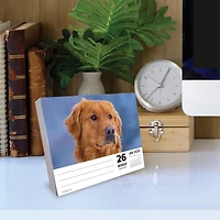 Just Goldens 2026 Box Calendar
