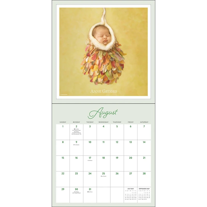 Anne Geddes 2027 Wall Calendar