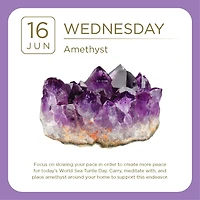 Crystal 2027 Box Calendar