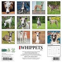 Just Whippets 2026 Wall Calendar