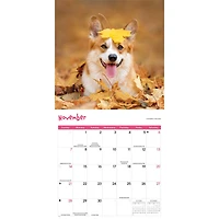 Playful Puppies 2027 Wall Calendar