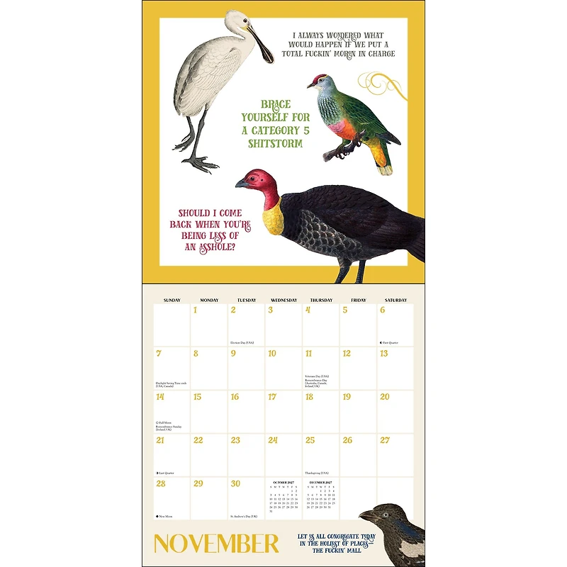Effin' Birds 2027 Wall Calendar