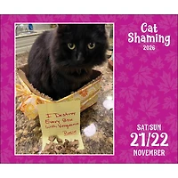 Cat Shaming 2026 Box Calendar